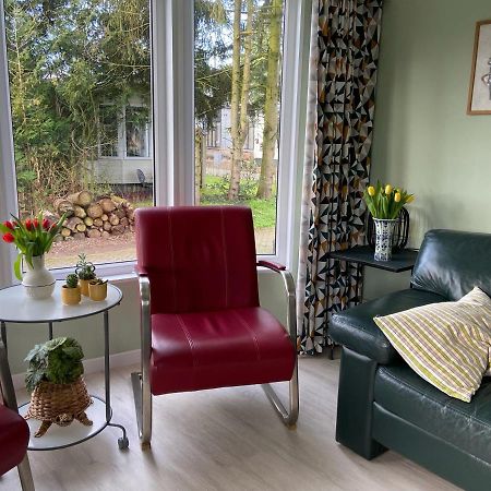 Ruim En Modern Chalet In De Veluwse Bossen Putten Exterior foto